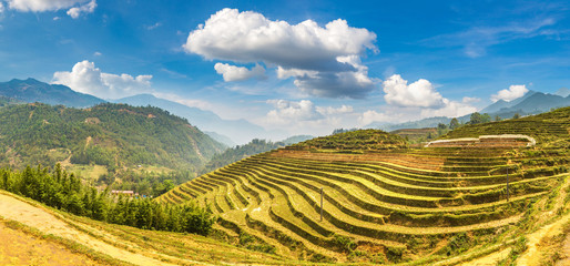 Terraced rice field in Sapa