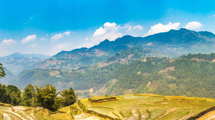 Terraced rice field in Sapa © Sergii Figurnyi