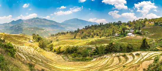 Terraced rice field in Sapa