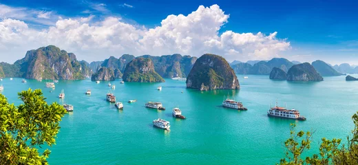 Foto op Plexiglas Halon Bay, Vietnam © Sergii Figurnyi