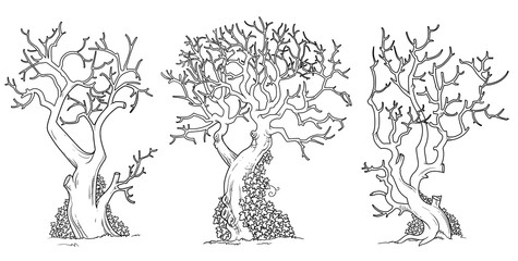 Scary trees with twisted leaves twisted with ivy outlined for coloring page