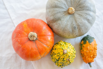 Herbstliche K&uuml;rbis Deko 