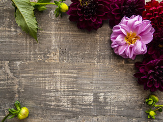 Bright fresh garden flowers on wooden surface