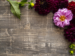 Bright fresh garden flowers on wooden surface