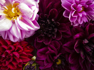 Bright fresh garden flowers on wooden surface