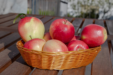 red apples in a basket