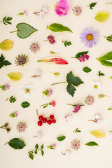 summer flowers and leaves