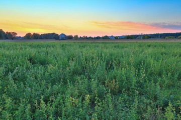 Rural landscape with beautiful gradient evening sky at sunset. Green field and village on the horizon
