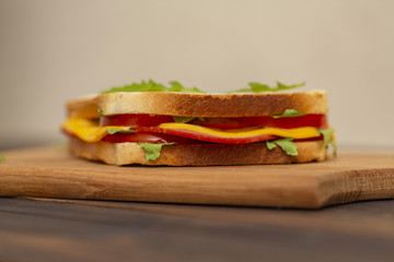 Tasty breakfast. Appetizing sandwich with salami and, cheese and tomatoes