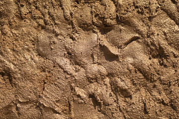 Yellow ice cream texture