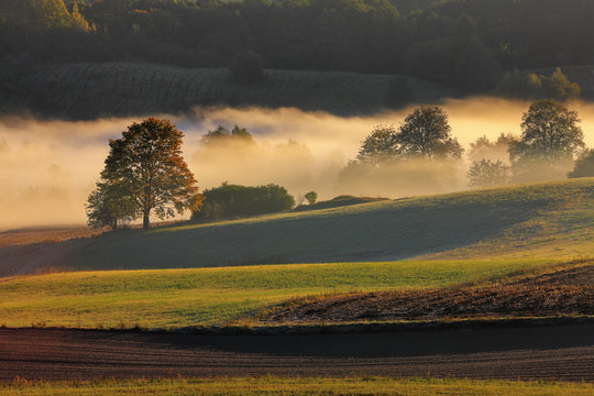 Fototapeta suwalski park krajobrazowy