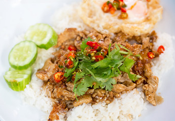 Thai local and street  food,contemporary food, famous yammy food recommend to tourist. CONTEMPORARY FOOD