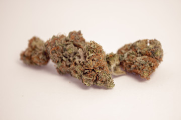 Close up of some large fluffy vibrant marijuana buds with a white background.