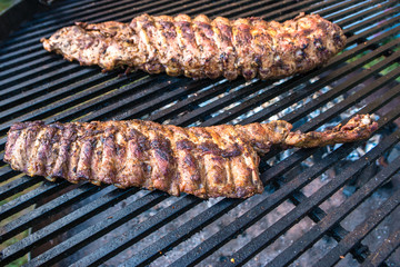 Meat on fire, veal, pork, lamb barbecue on the grill.