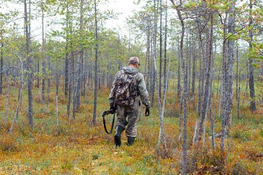hunter crosses the swampy pine forest