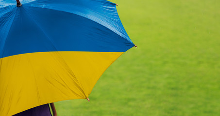 Ukraine flag umbrella. Close up of printed umbrella over green grass lawn / field. Rainy weather forecast concept.	
