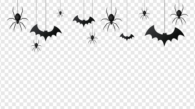 Vector isolated pattern with hanging spiders and bats spider on the transparent background.