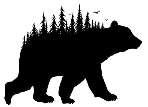 Silhouette of bear with forest. 