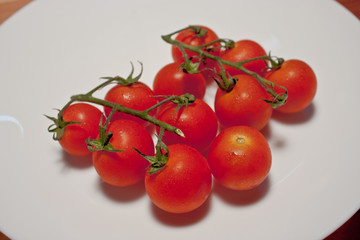 a Fresh Tomato grow in Thailand