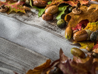 Fall banner - Colorful Autumnal Leaves On Vintage Wood