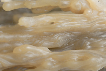 texture of melted candle