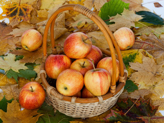Red and yellow apples in a basket on a background of autumn leaves