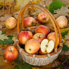 Red and yellow apples in a basket on a background of autumn leaves
