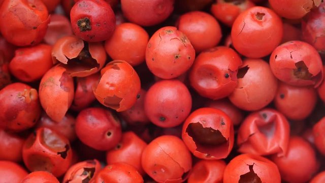 Pink peppercorn background. Slow rotation.
