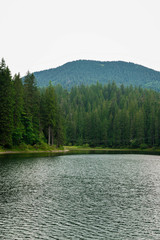  Beautiful mountain landscape of the forest and mountain lake