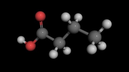 butyric acid molecule model rotating. Butyric acid is found in milk, especially goat, sheep and buffalo milk, butter. Butyric acid is present in  human vomit and has an unpleasent smell.