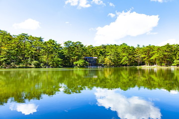 Fototapeta premium 秋晴れの再度公園、兵庫県神戸市北区六甲山にて