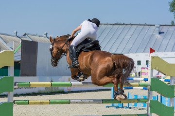 Horse jumping equestrian sport