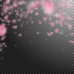 6729206 Sakura petals falling down. Romantic pink flowers falling rain. Flying petals on transparent square
