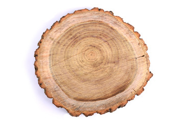   Detailed piece of circular flat cut wood showing annual rings, cracks, bark and texture Slice an oak tree like a wooden plate grove tree trunk showing  isolated on white background.