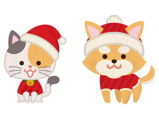 Naklejka premium クリスマスカラーの服を着た犬と猫
