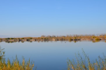 A riverside with stone shore