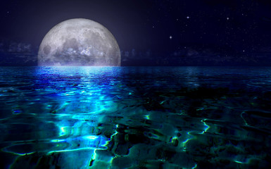 Fototapety  Księżyc w pełni nad morzem