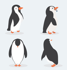 Cute penguin characters  in different poses set
