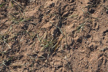 A sand texture from a riverside