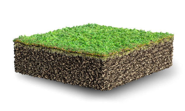 cut of soil with grass 3D illustration