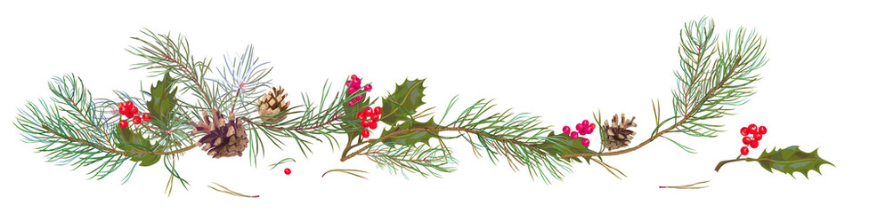 Panoramic view with pine branches, cones, holly berry. Horizontal border with Christmas tree on white background. Hand draw, watercolor style, decorative botanical illustration for design, vector