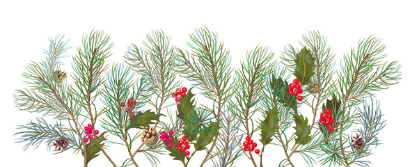 Panoramic view with pine branches grow from bottom, cones, holly berry. Horizontal border with Christmas tree on white background. Hand draw, watercolor style, botanical illustration, vector