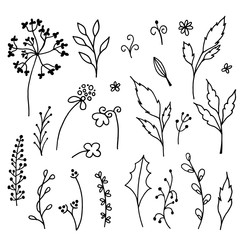 Ink sketch hand drawn set doodle flowers. Sketching vector illustration isolated on white background.