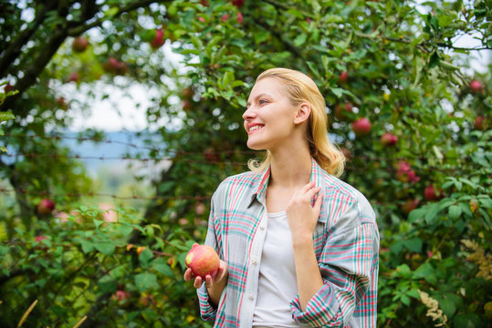 Harvesting season concept. Woman hold apple garden background. Farm produce organic natural product. Girl rustic style gather harvest garden autumn day. Farmer pretty blonde with appetite red apple
