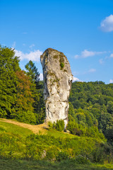 Pieskowa Skala, Poland - Monumental limestone rock Cudgel or Bludgeon of Hercules - Maczuga Herkulesa - in the Ojcowski National Park - obrazy, fototapety, plakaty