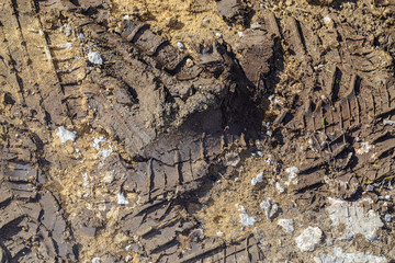 dirt with traces of cars