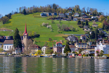 view of the beatiful lake lucerne switzerland europe calm peaceful summer sunny day