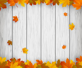 Autumn background with falling leaves. Red, yellow and orange autumn leaves. Vector