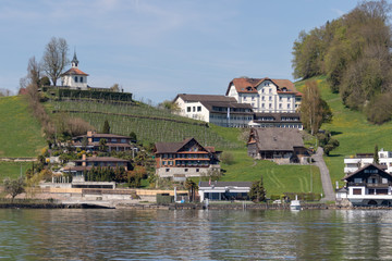 Fototapeta na wymiar view of the beatiful lake lucerne switzerland europe calm peaceful summer sunny day