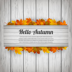 Hello autumn. Background with falling autumn leaves. Vector